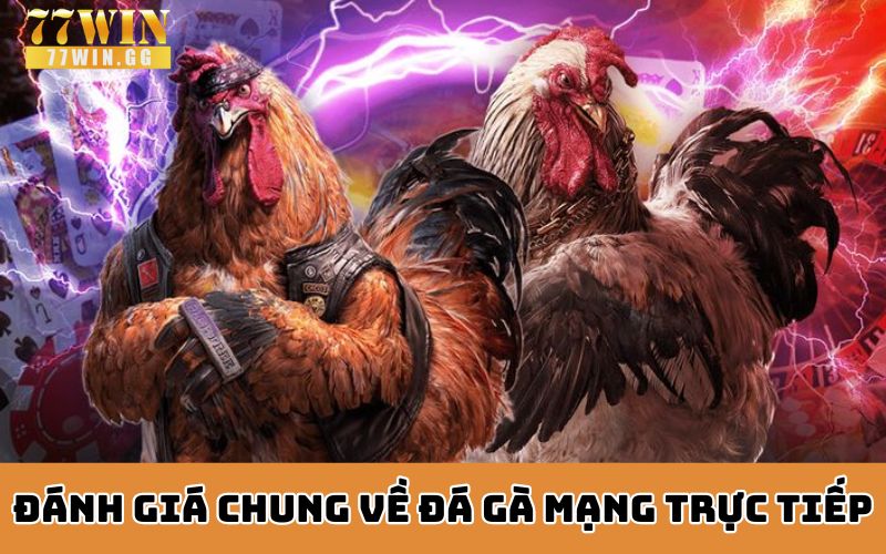 Đánh giá chung về đá gà mạng trực tiếp 